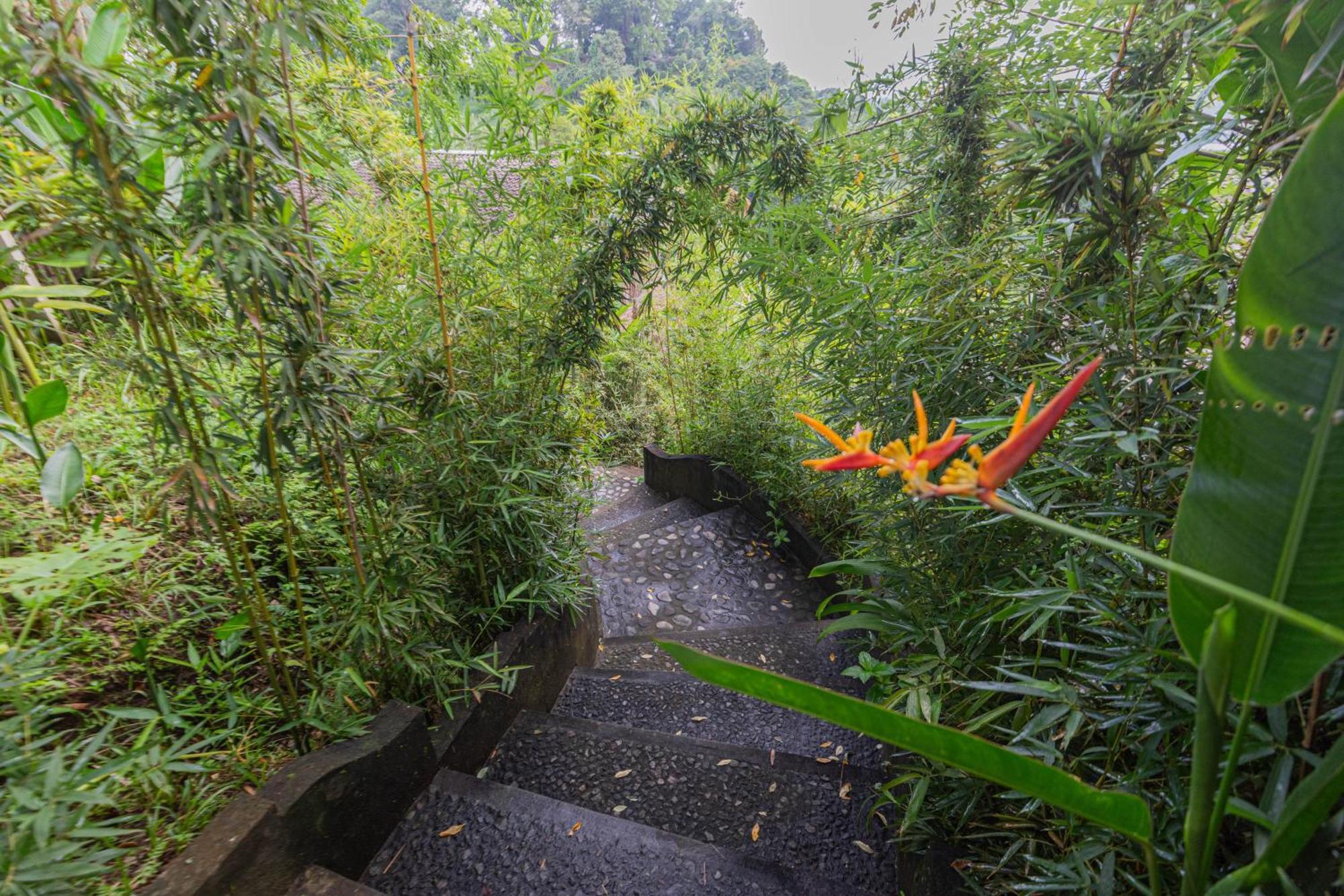 Вілла Shigar Livin Bali Сідемен Екстер'єр фото
