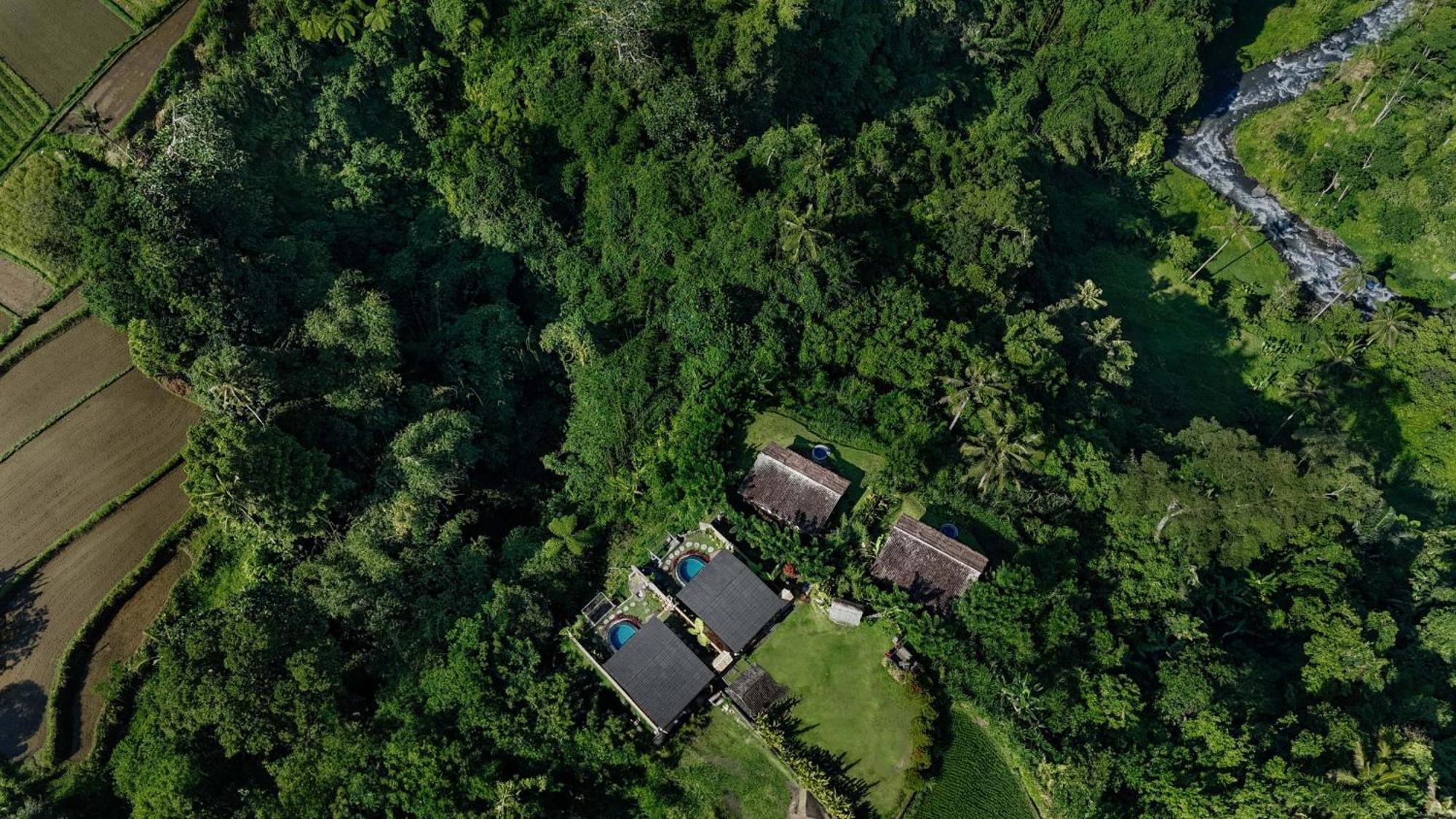Вілла Shigar Livin Bali Сідемен Екстер'єр фото